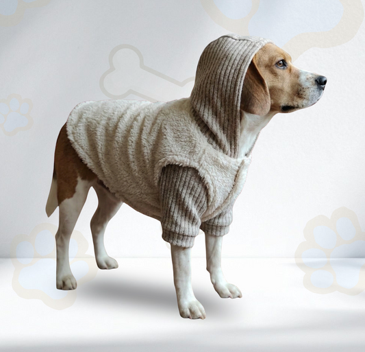 Suéter conjunto dos piezas