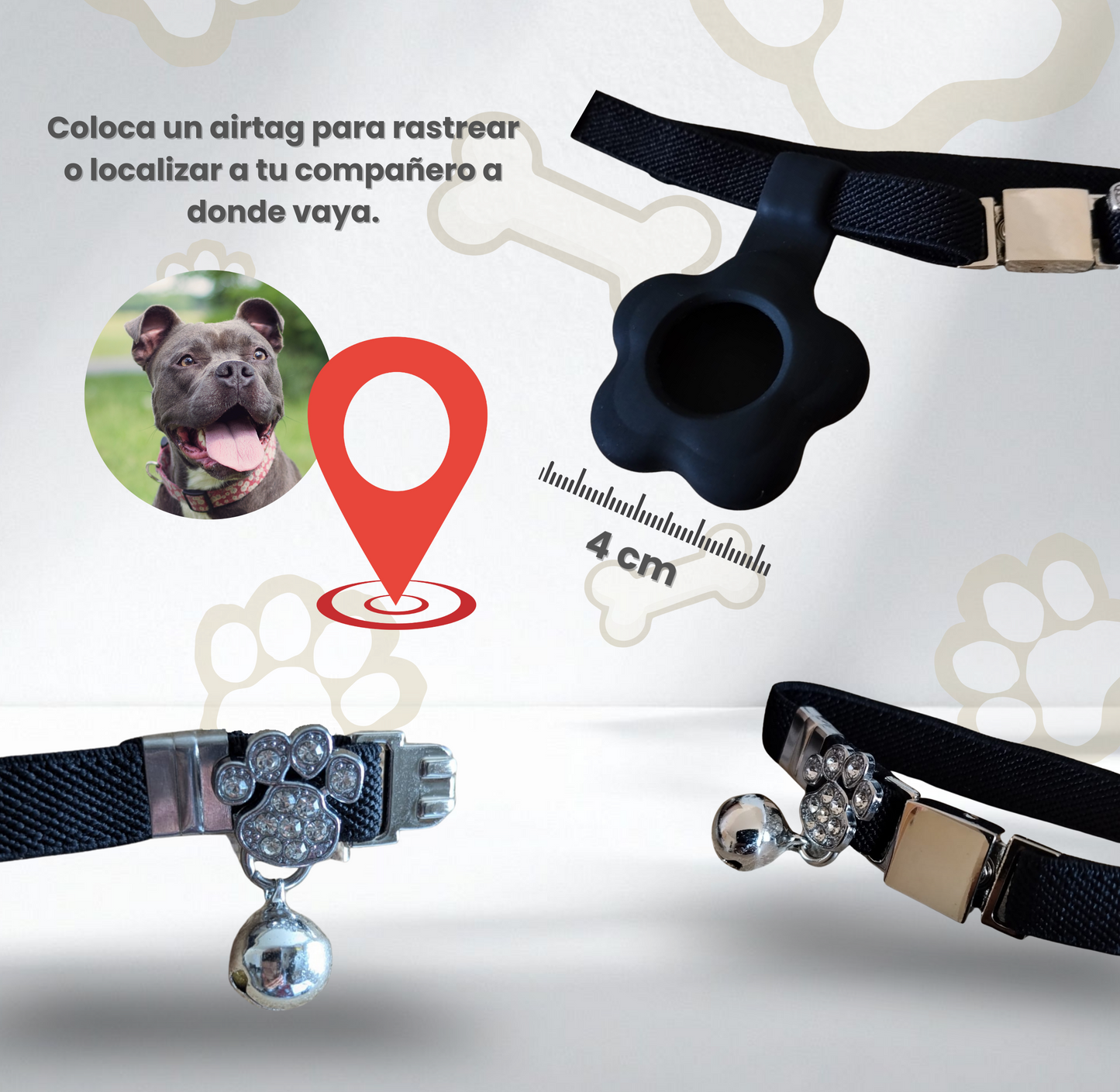 Collar elástico ajustable con placa y funda para tag