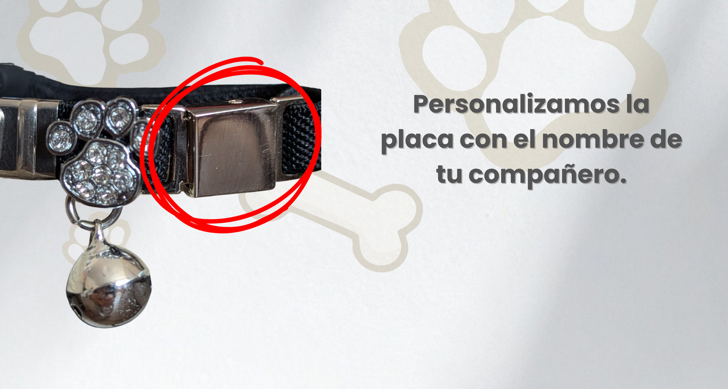 Collar elástico ajustable con placa y funda para tag