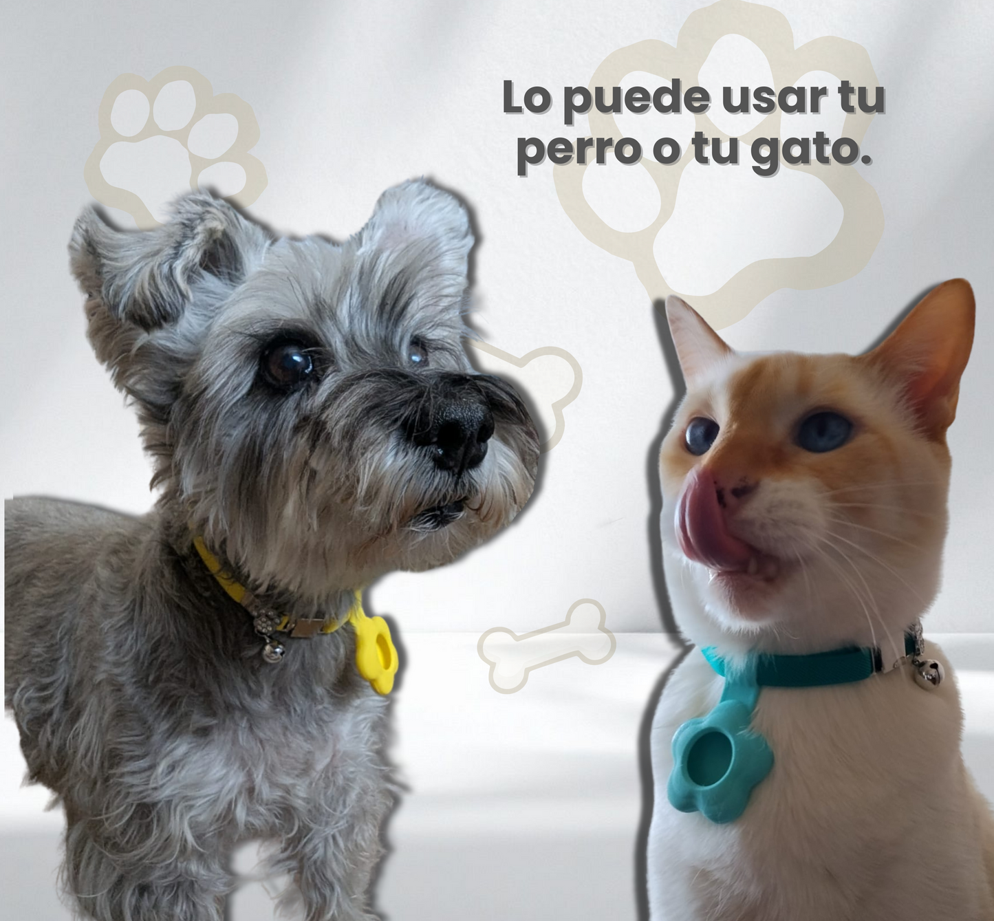 Collar elástico ajustable con placa y funda para tag