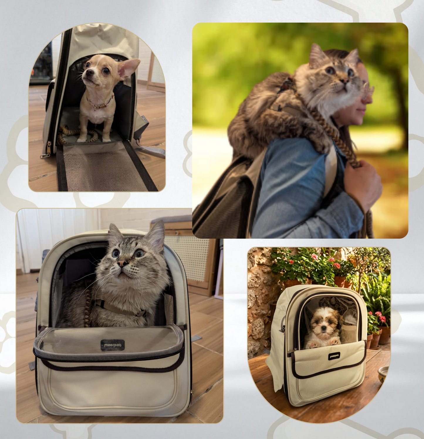 Mochila transportadora
