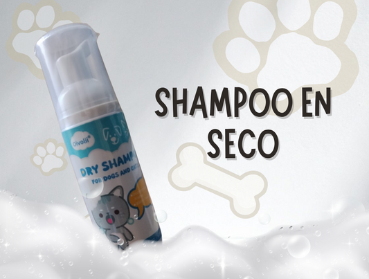Shampoo en seco para perros y gatos