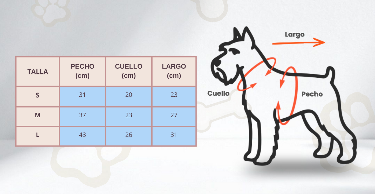 Suéter conjunto dos piezas